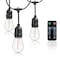 Newhouse Lighting Outdoor 48ft. LED Dimmable String Lights with Remote Control, 16 Bulbs CSTRINGLEDDIM - alternate 1
